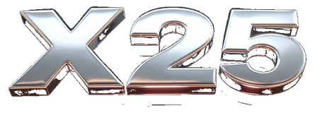 x25 logo